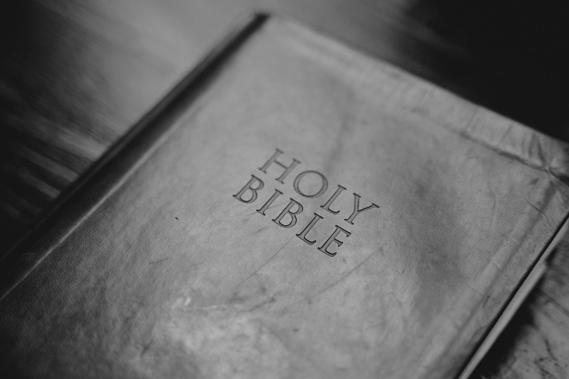 The Best Bible Translations to Read for Beginners